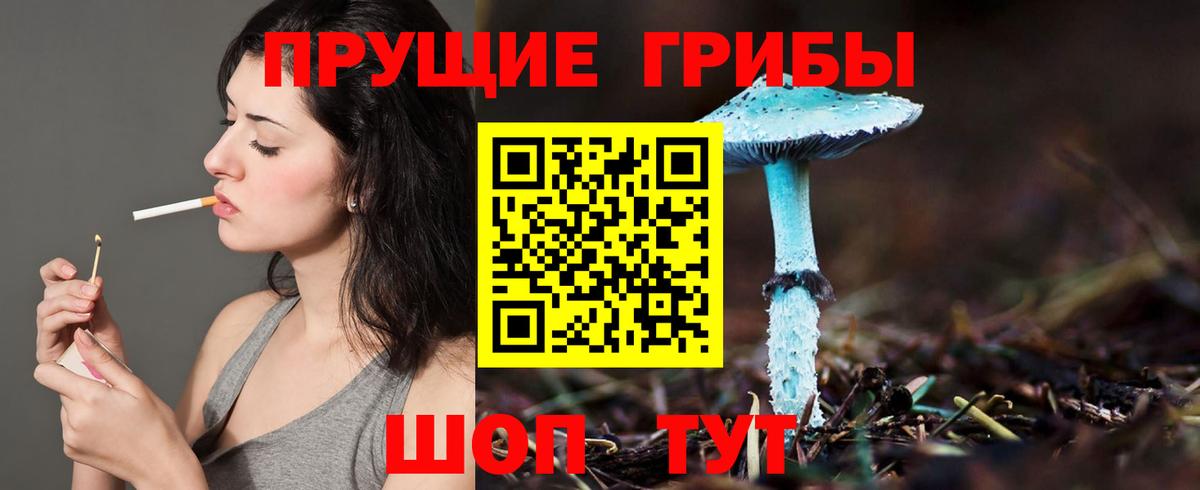 Гусиноозёрск  Галлюциногенные грибы MAGIC MUSHROOMS  Вход с VPN 